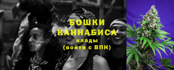 индика Аркадак