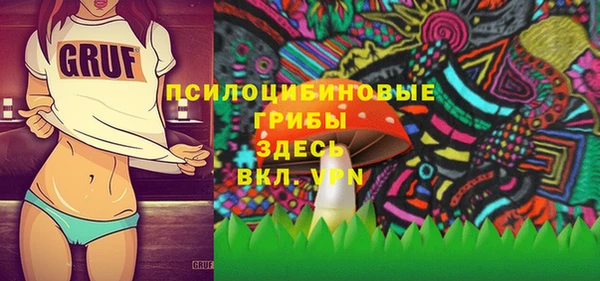 хмурый Арсеньев