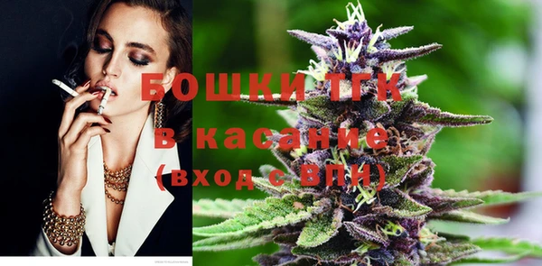 индика Аркадак