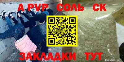 a pvp Камышлов