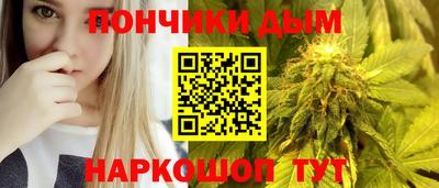 a pvp Камышлов