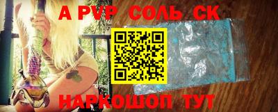 a pvp Камышлов