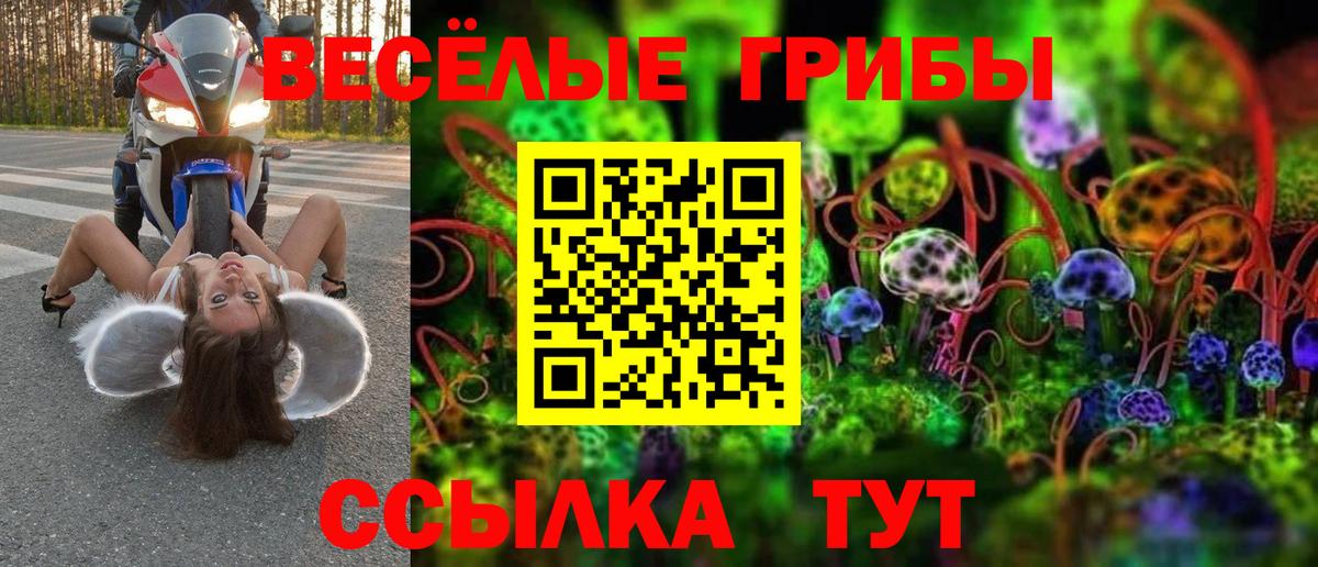 Псилоцибиновые грибы ЛСД Новороссийск