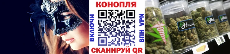 Канабис сатива  купить закладку  Новороссийск 