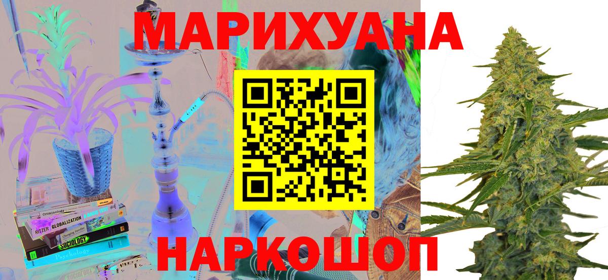 Канабис сатива Новороссийск